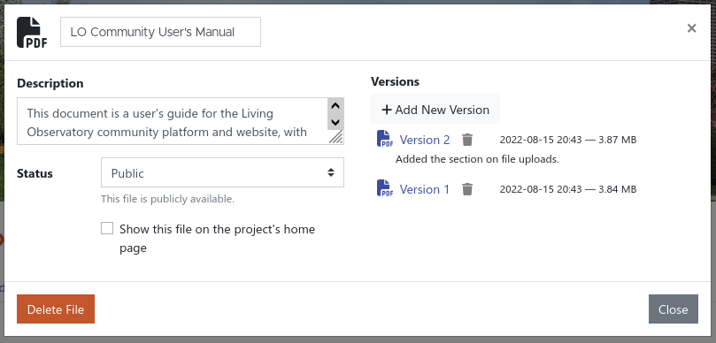 the file info dialog box