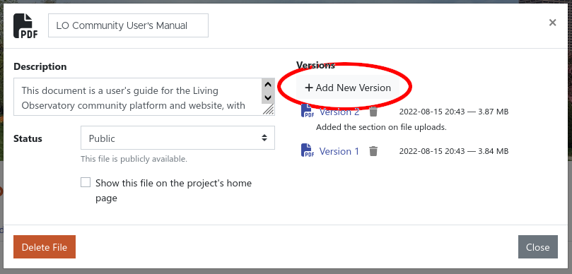 new version button in the file info dialog