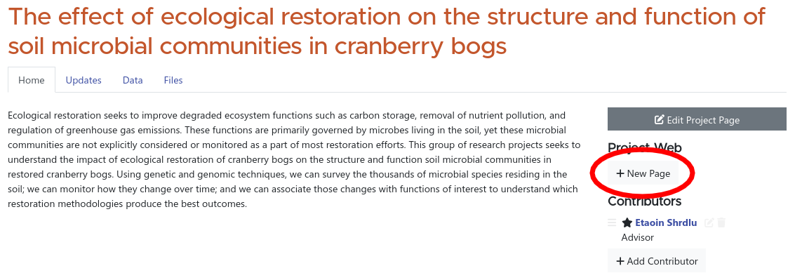 new page button in the right column